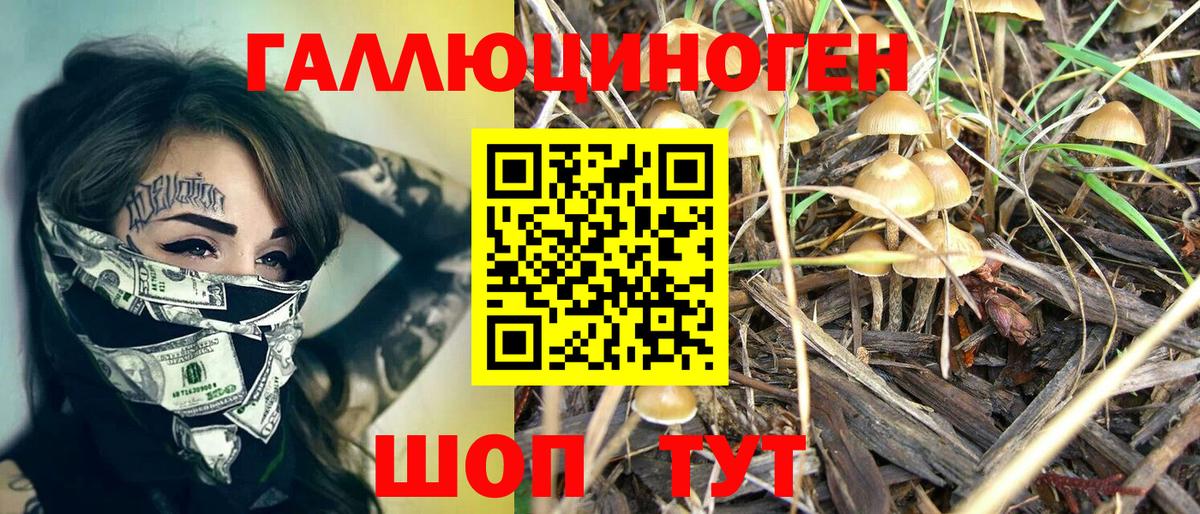 Псилоцибиновые грибы GOLDEN TEACHER Балашов